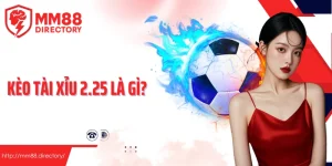 kèo tài xỉu 2.25 là gì